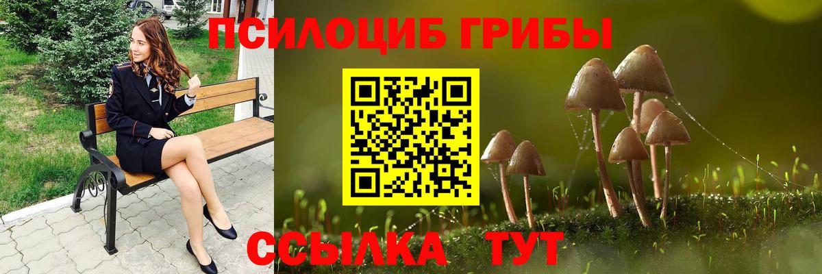 Псилоцибиновые грибы прущие грибы Егорьевск